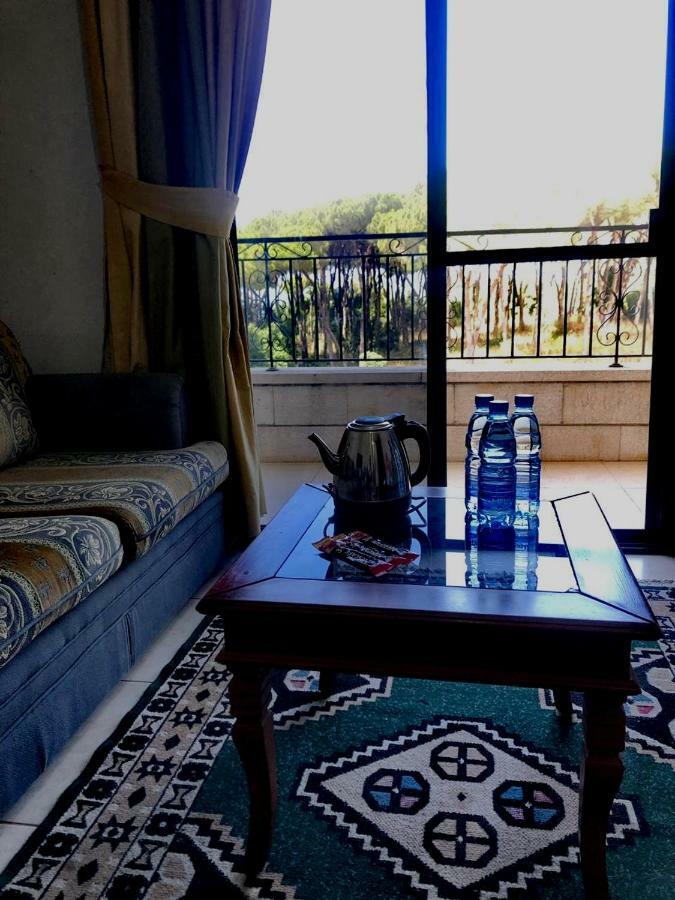 Dynasty Suite 알레이 외부 사진